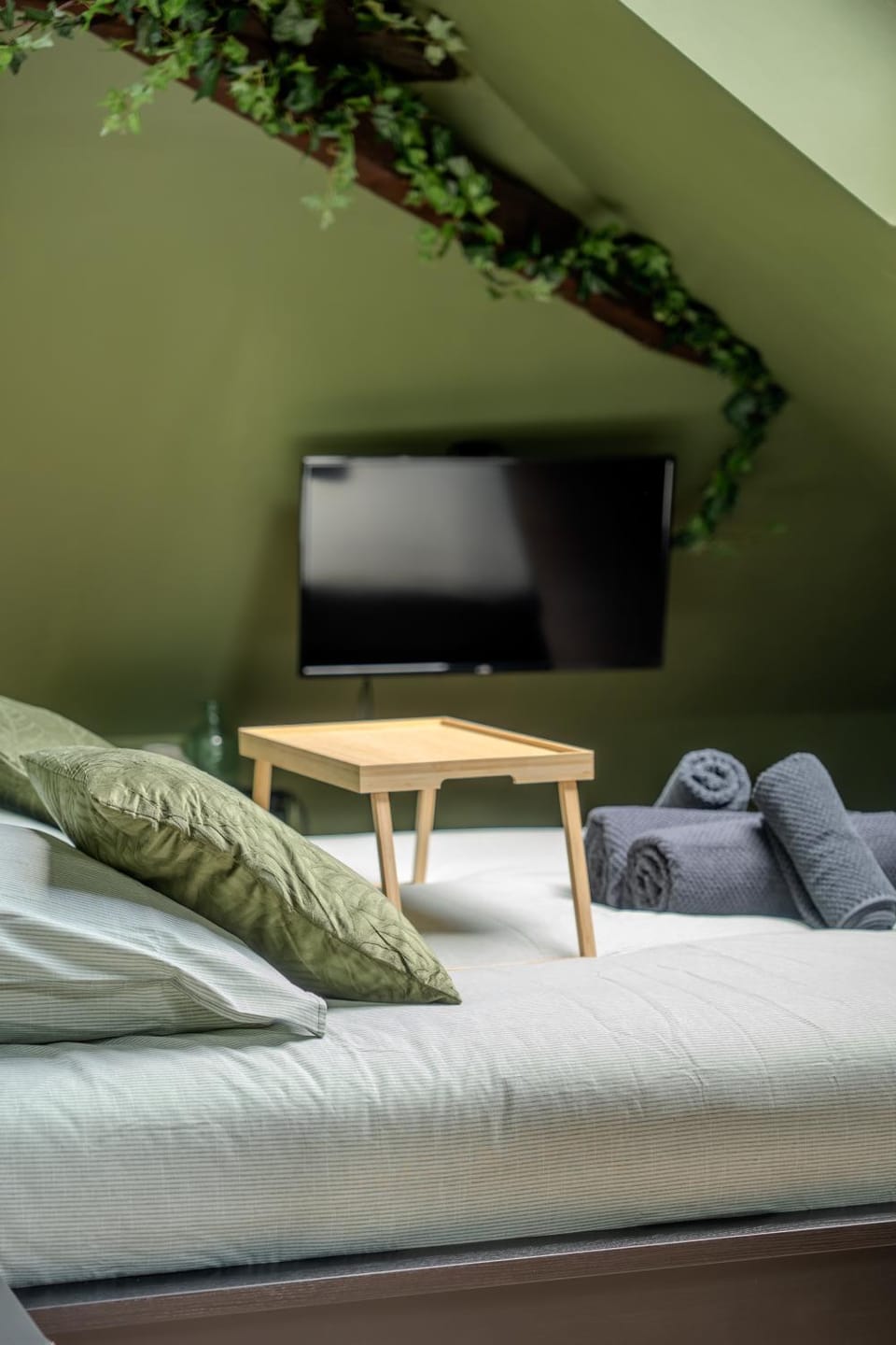 Communal lounge/ TV room, Bed, TV and multimedia, Bedroom