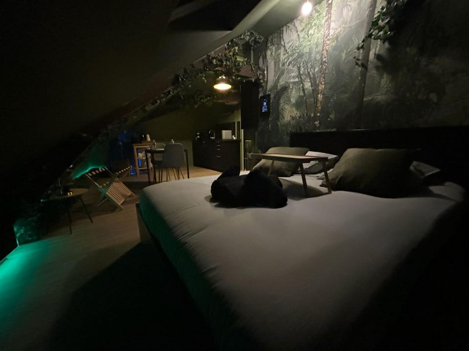 Bed, Night, Photo of the whole room, Bedroom