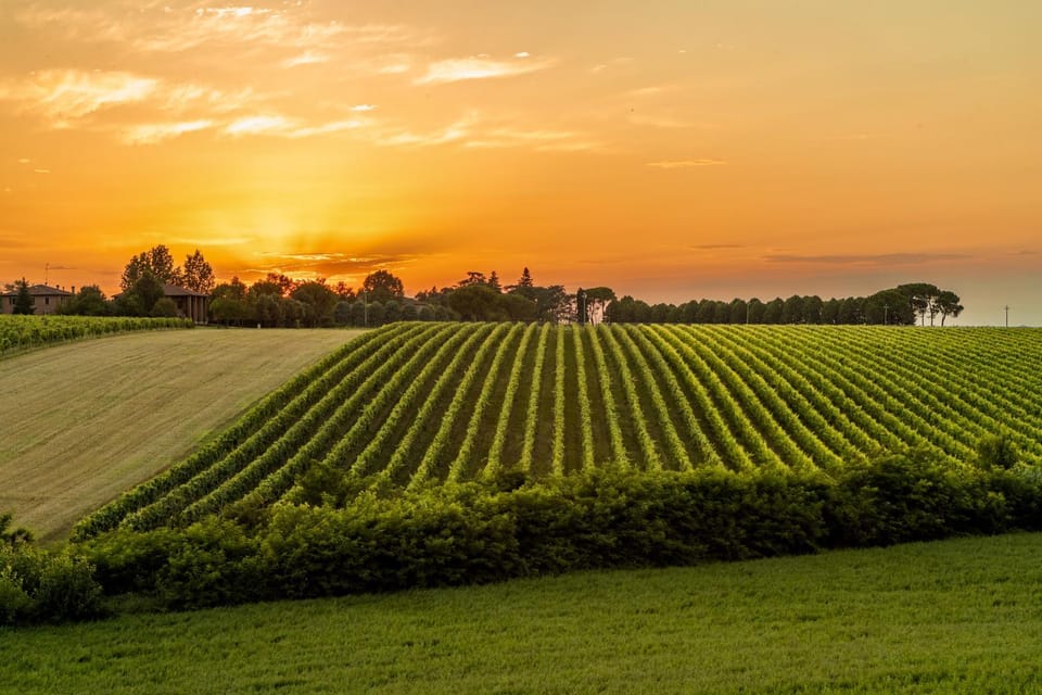 Natural landscape, Sunset