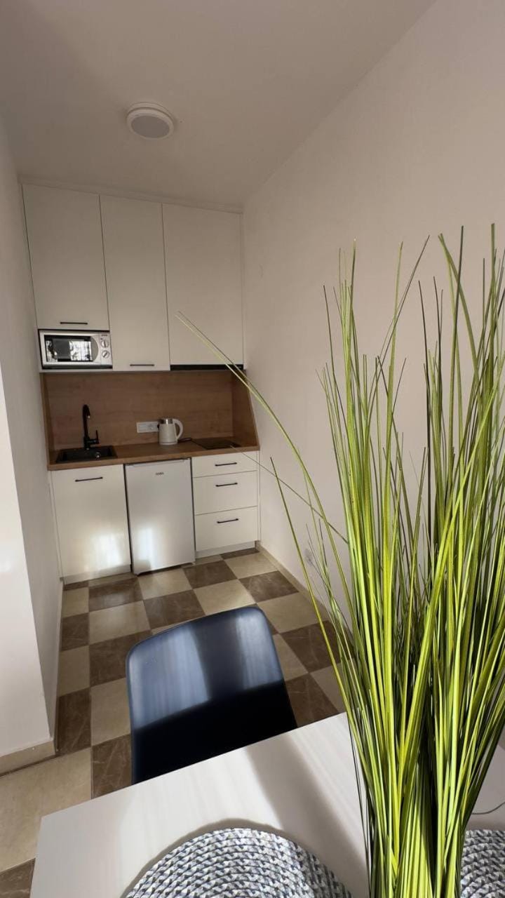 GreenHouse Apartment in Montenegro