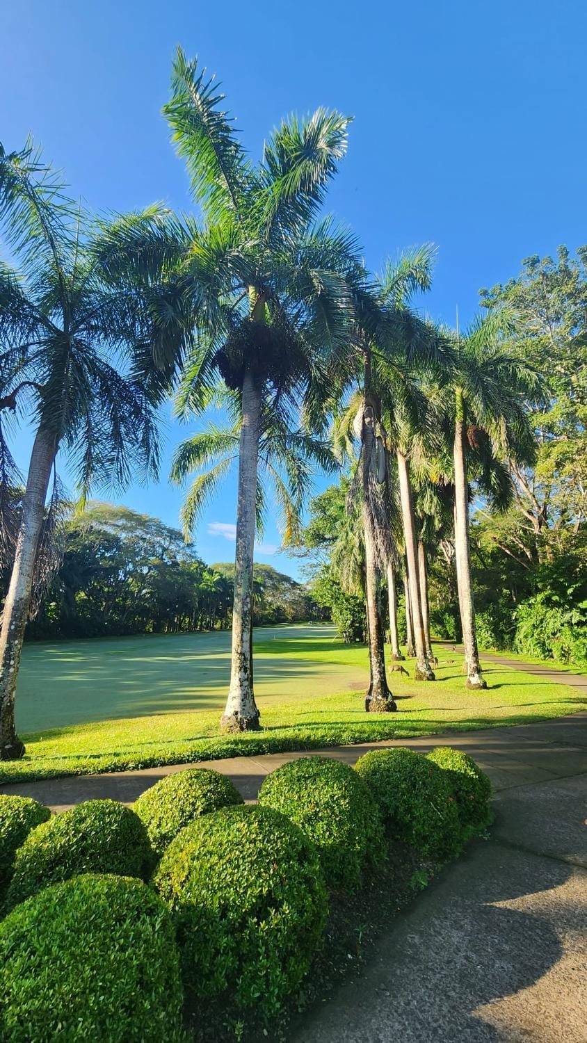 Natural landscape, Golfcourse, Golfcourse