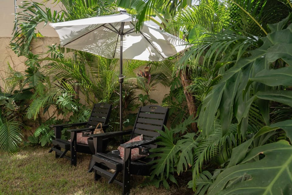 Patio, Day, Garden, Garden view, sunbed