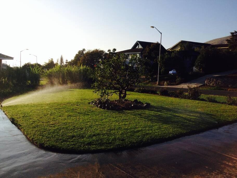 Garden Oasis at Banana Hale Studio Apartment in Waimea