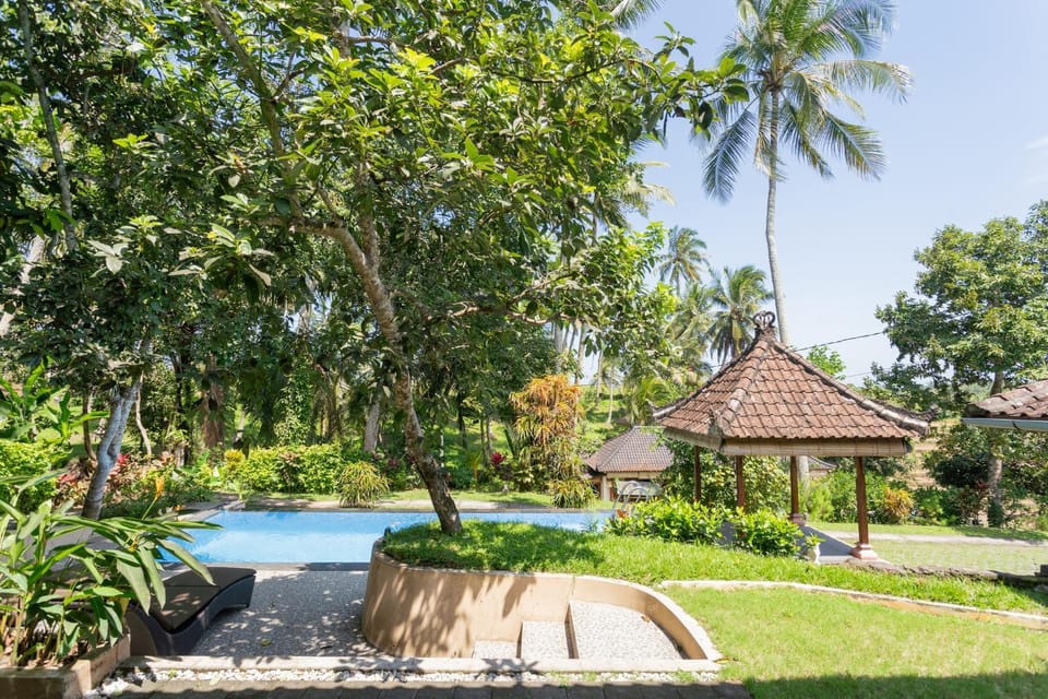 Property building, Spring, Day, Natural landscape, Garden, Garden view, Pool view, Swimming pool, Swimming pool