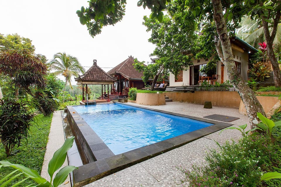 Property building, Day, Garden, Garden view, Pool view, Swimming pool