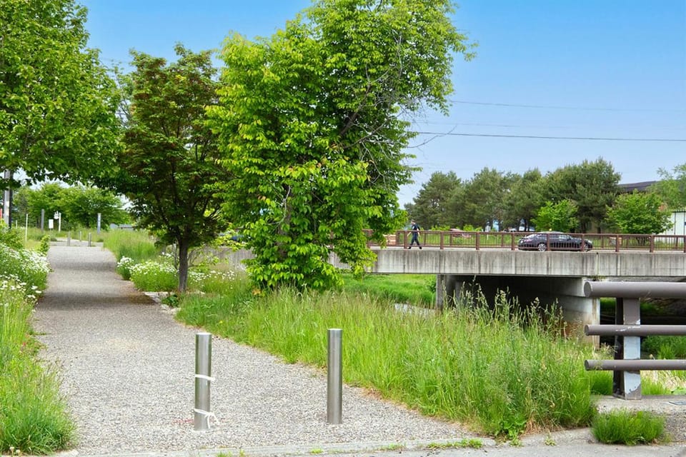 Neighbourhood, Natural landscape