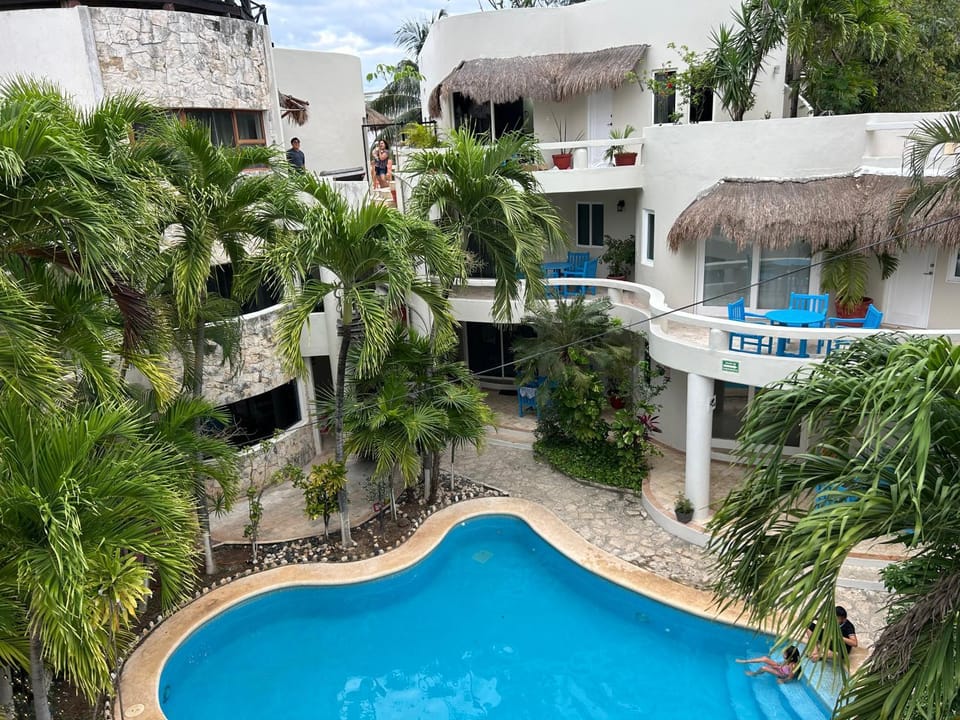 Property building, Garden view