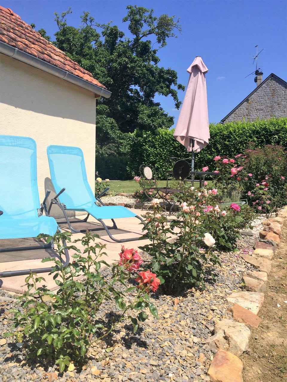 Garden view