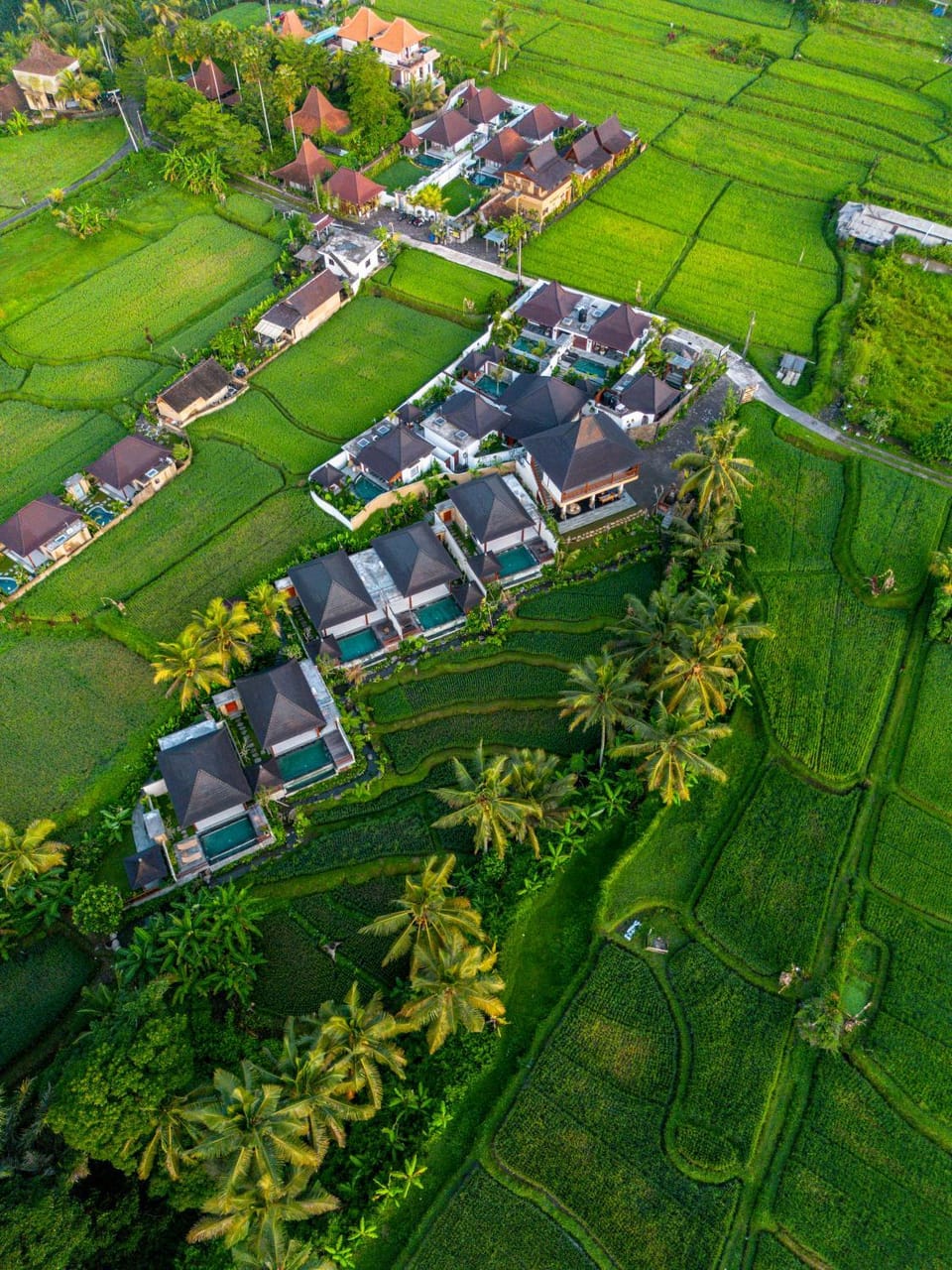 Natural landscape, Garden, Street view