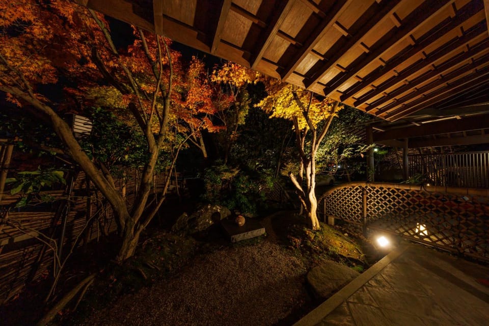 Night, Garden view
