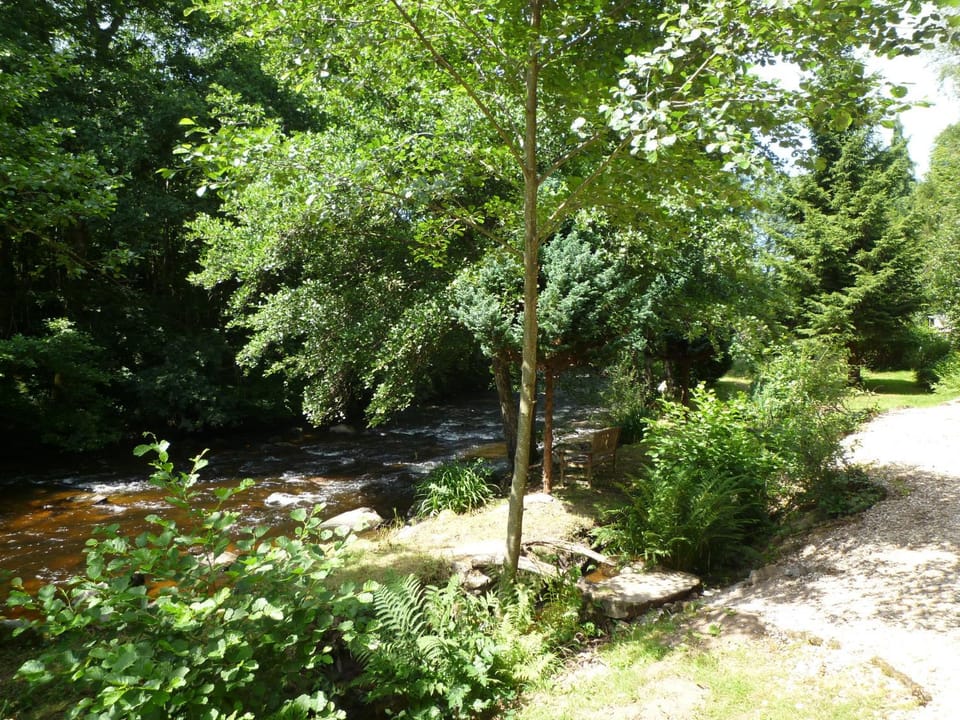 Garden, River view
