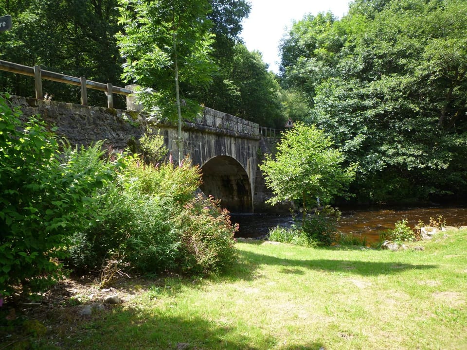 Garden, River view
