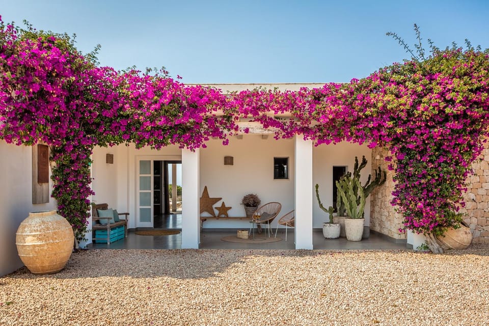 Patio, Spring, Garden