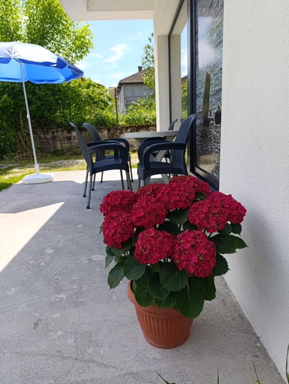 Apartman Una na dlanu, Novi Grad Apartment in Croatia