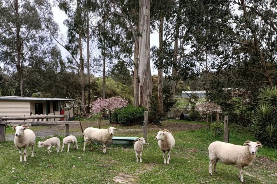 Spring