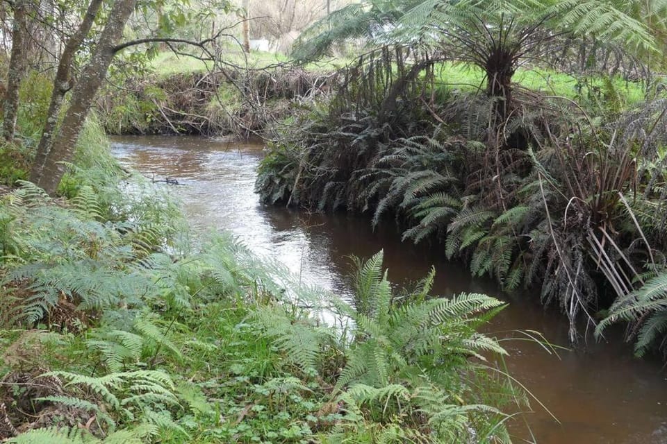 Natural landscape