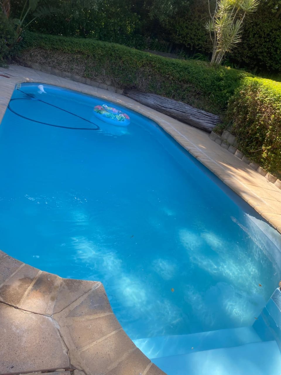 Swimming pool, Swimming pool