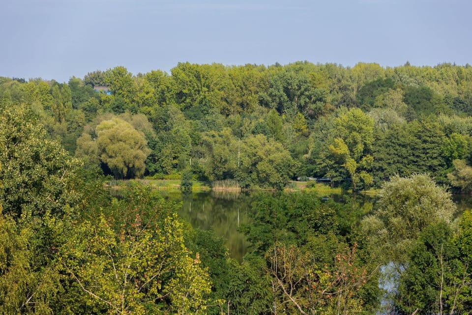 Day, Natural landscape, View (from property/room)