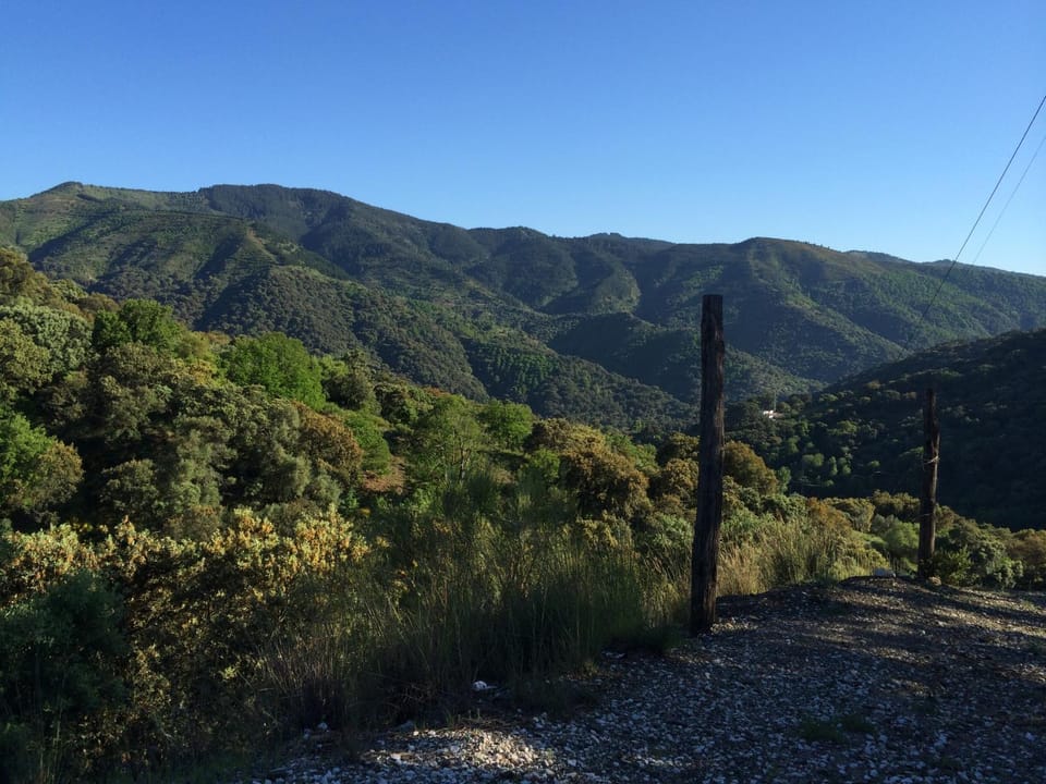 Day, Mountain view