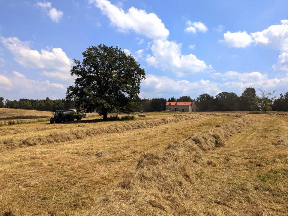 Property building, Natural landscape