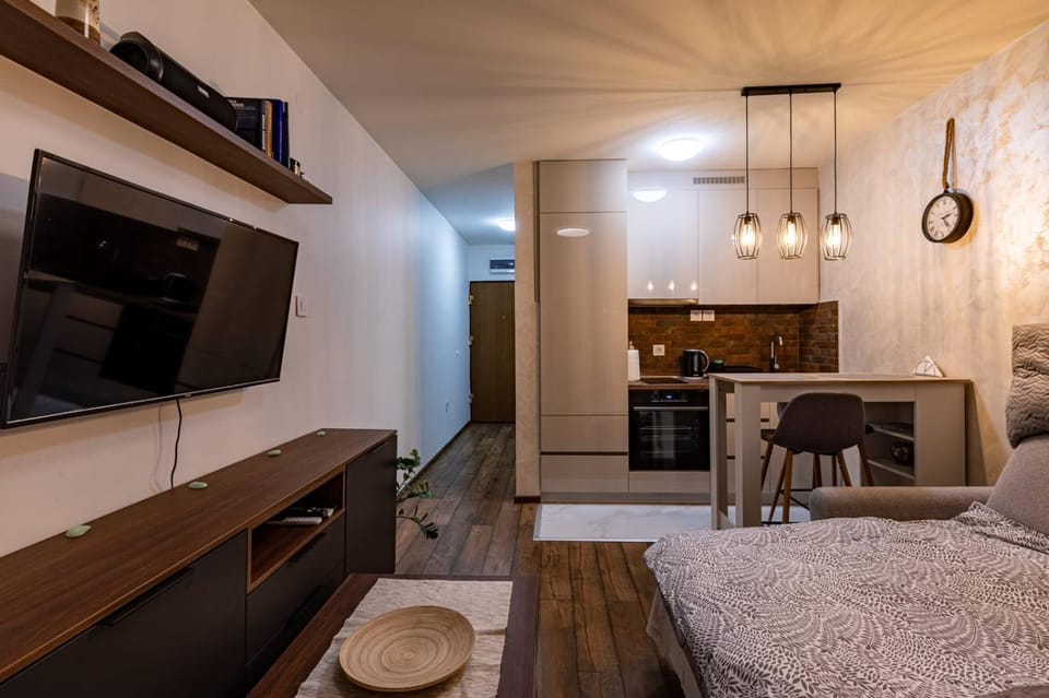 Apartman Leo Apartment in Novi Sad