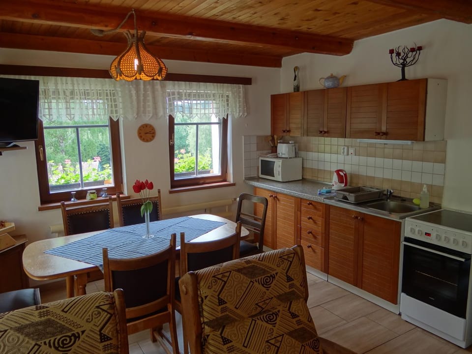 Kitchen or kitchenette, Dining area, oven