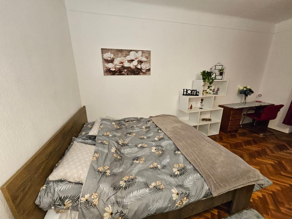 Pet Friendly 2BDR Apartment Apartment in Budapest