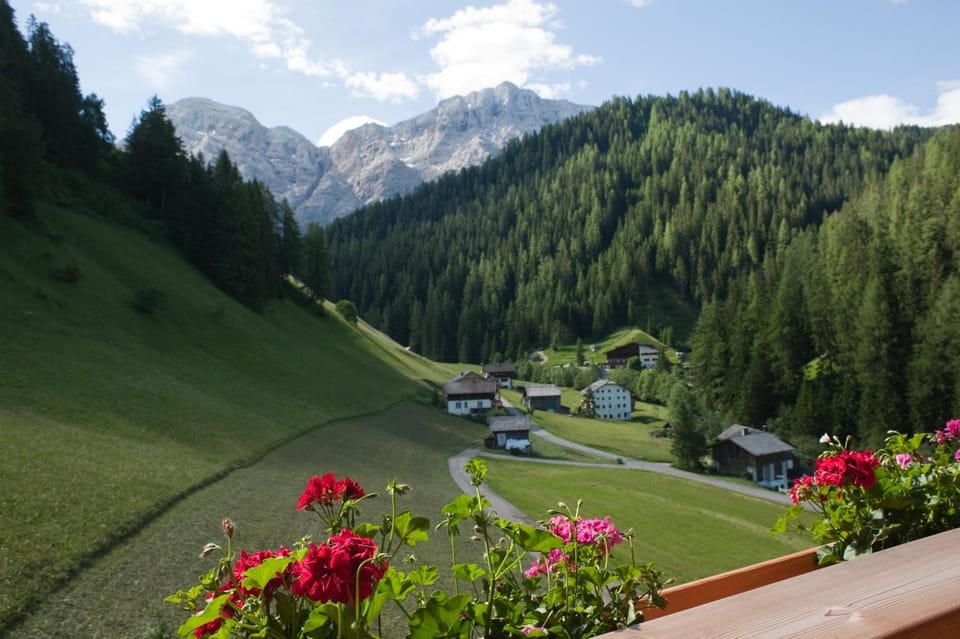 Summer, View (from property/room), Area and facilities