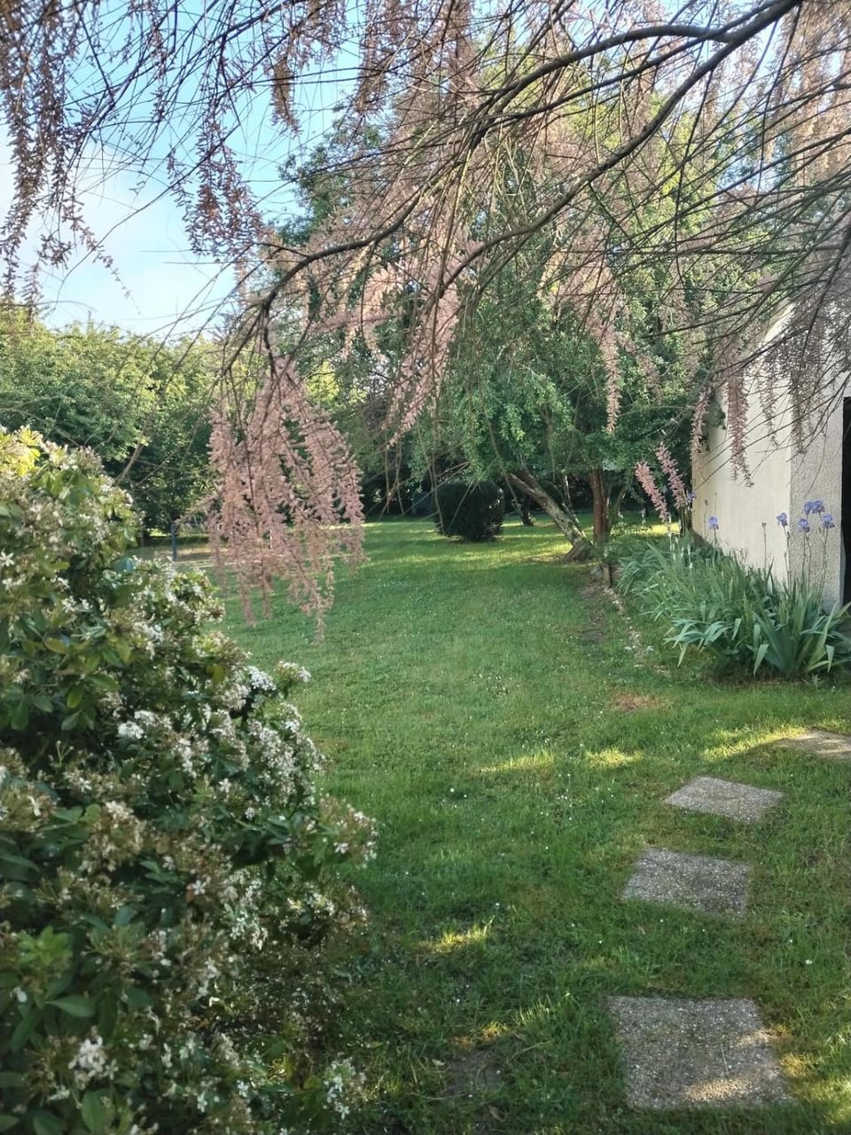 Maison avec grand jardin arboré House in Centre-Val de Loire