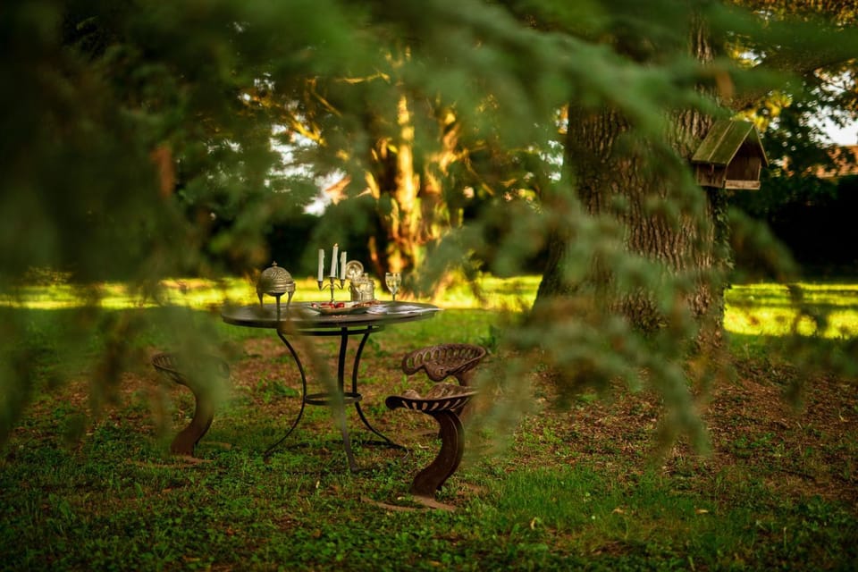 Natural landscape, Garden, Dining area