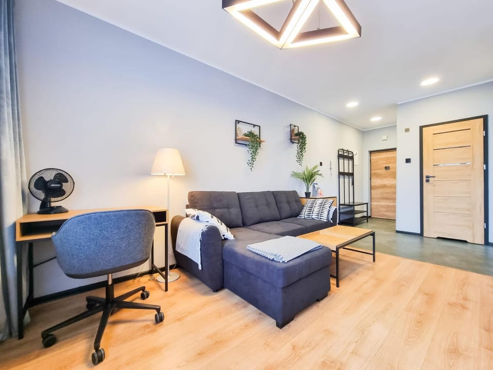 Bed, Living room, Photo of the whole room, Seating area