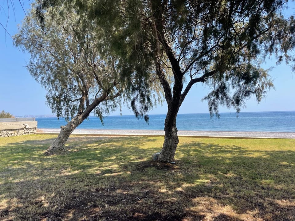 Day, Natural landscape, Garden, Beach, Sea view