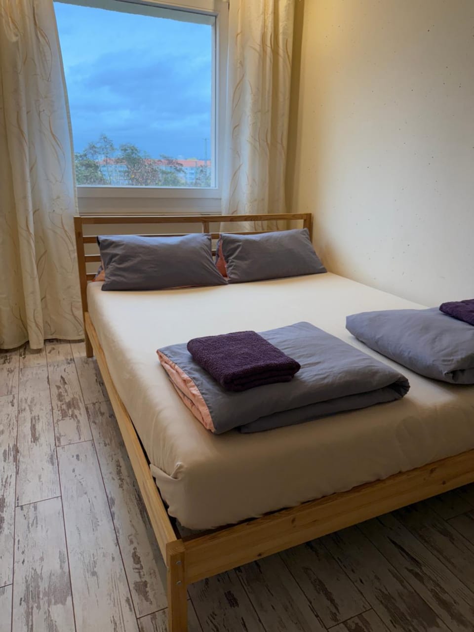 Sweet Home Apartment in Dresden