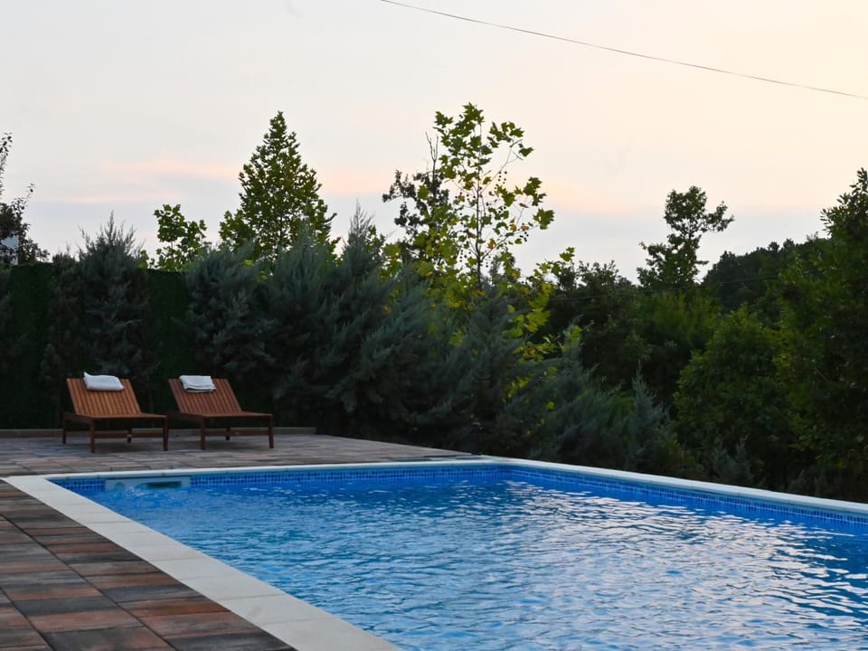 Day, Garden, Garden view, Pool view, Swimming pool