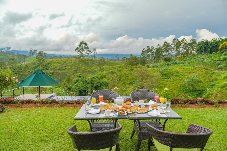 Patio, Day, Natural landscape, Garden, Garden, Food and drinks, Dining area, Food, Garden view, Mountain view