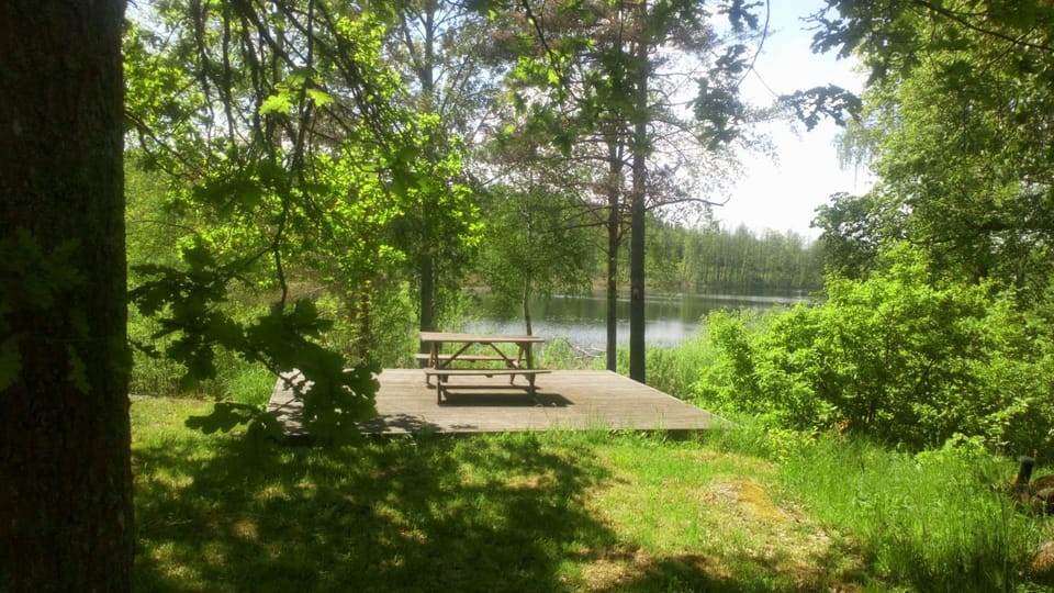 Lake view