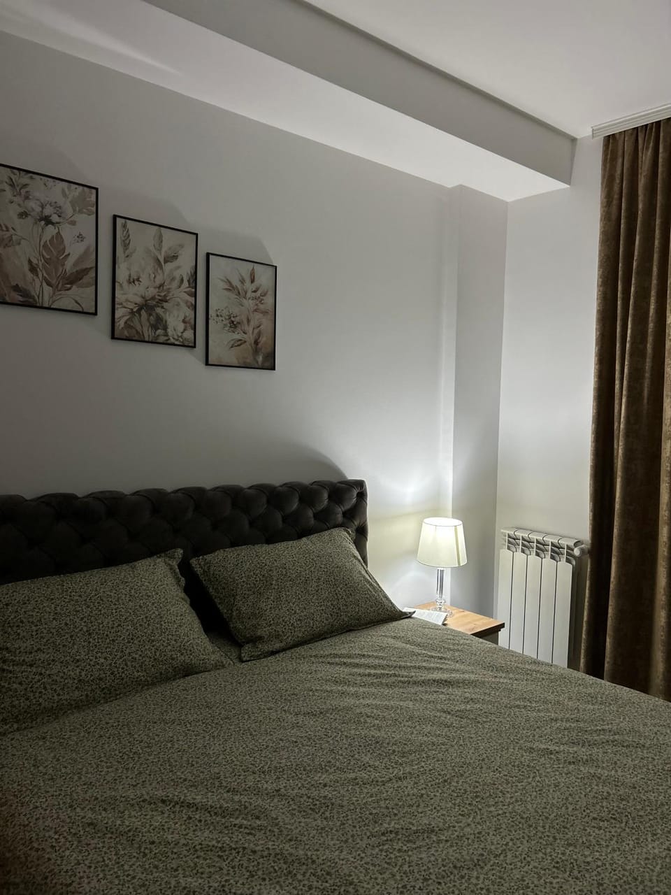 Serenity Apartment Apartment in Serbia