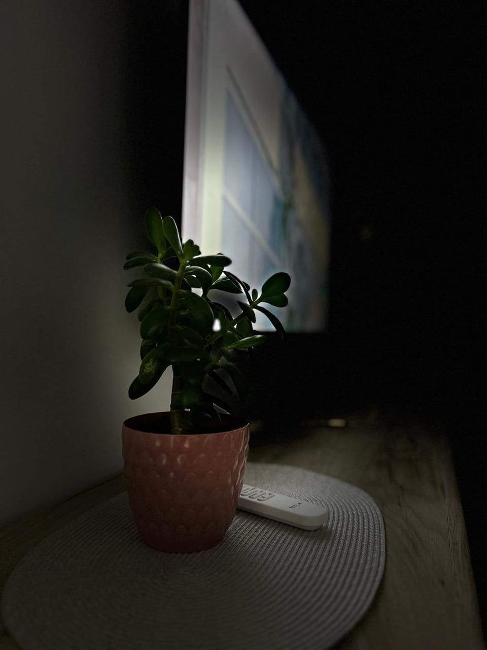 Serenity Apartment Apartment in Serbia