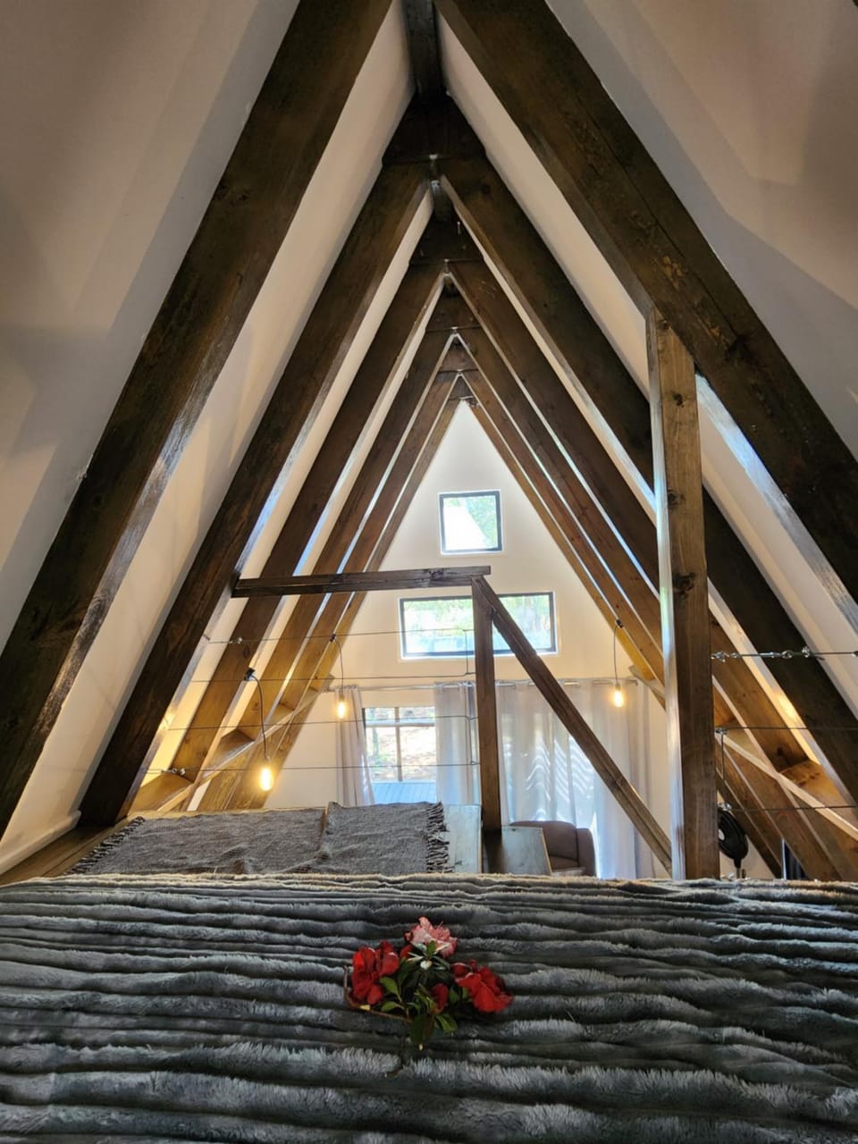 Treehaven Retreat Nature lodge in Eastern Cape