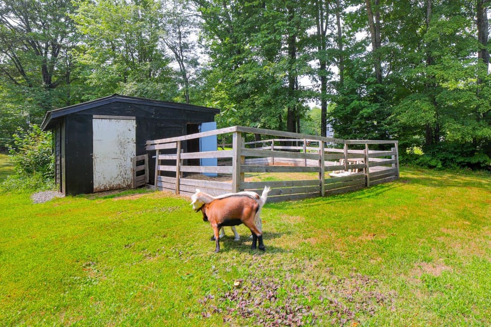 Peaceful Brookside Getaway ~10 Mi to Okemo Slopes! House in Chester