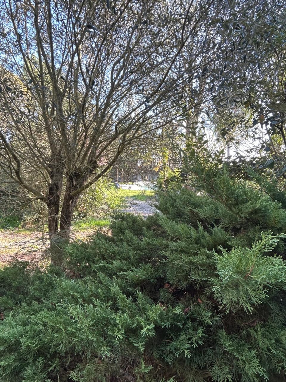 Gîte les Mercieres la Villa, au coeur de l'Occitanie et du pays Cathare, maison de campagne laurag-aise, grands espaces, oasis de nature, convivialité, détente, 6 Chambres piscine chauffée, terrain de pétanque, Wifi, piano, billard, cheminée pour l'hiver House in Occitanie