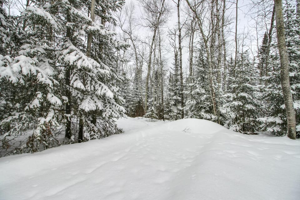 Ice Fishing on South Fork Lake: Nashwauk Studio! Apartment in Minnesota