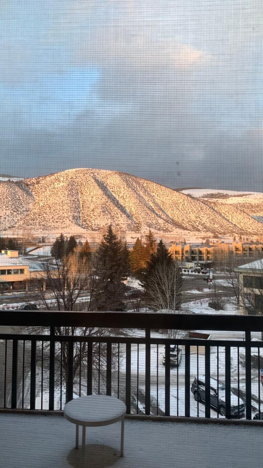 View (from property/room)