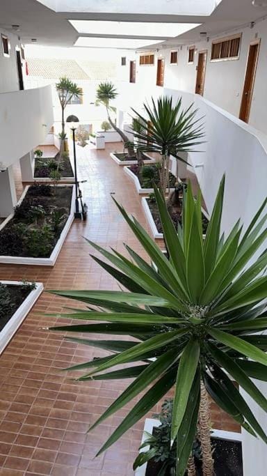 Ferienwohnung modern,Strandnähe, Club Olympus, Garten City Tenerife Apartment in Costa Adeje