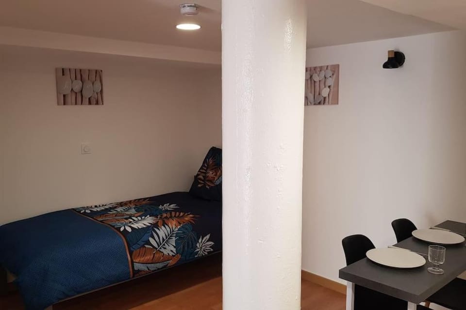 Studio meublé en sous-sol en plein centre ville Apartment in Pays de la Loire