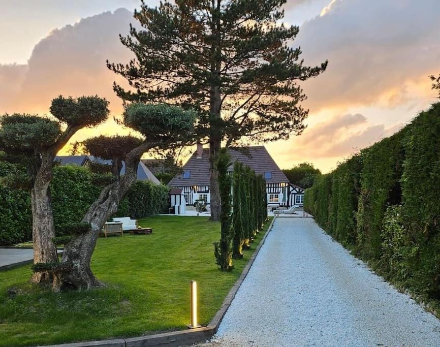 Garden, Garden view, Sunset