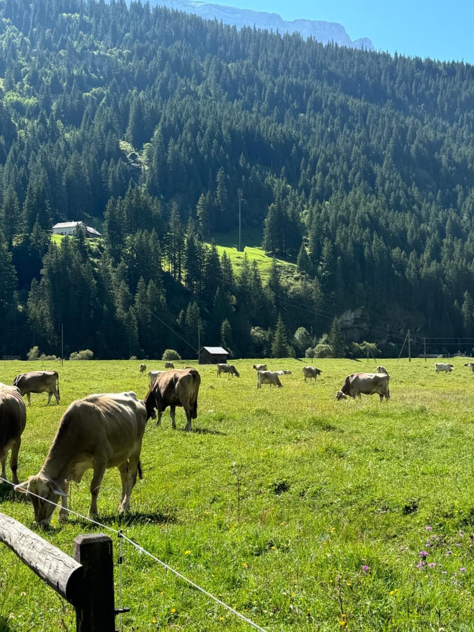 Hotel Klausen Treff Hotel in St. Gallen, Switzerland