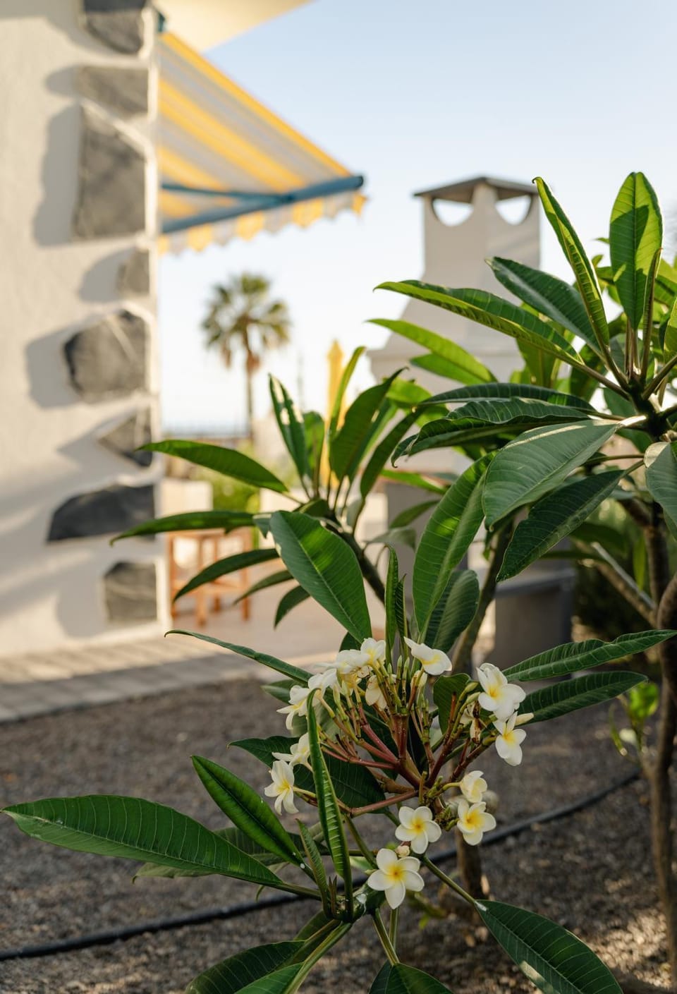 Garden, Garden view