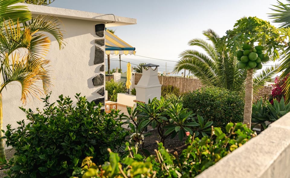 Property building, Garden, Garden view