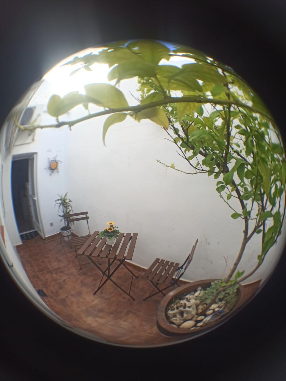 Patio, Garden, Garden view